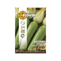 Semillas de calabacín genovés – Variedad precoz – Color verde/gris – Germinabilidad 3 años – Peso 7g