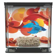Betteras Marina – Kit de acuario – Capacidad 2 litros – Fácil instalación – Ideal para principiantes