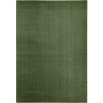 Flachwebteppich Bartolo – 120 x 170 cm – waldgrün – 100 % Polyester – strapazierfähig, pflegeleicht