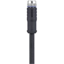 Escha 8046204 Sensor-/aktor-steckverbinder, Konfektioniert M8 Buchse, Gerade 2.00 M Polzahl Sensoren