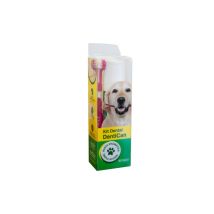Stegest Dental Kit Pinsel + Paste