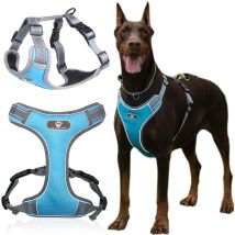 Pettorina Da Addestramento Astro Blue Per Cani Da Passeggiata, Taglia Xl
