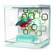 Betteras Marina – Kit de acuario 2 litros – Fácil instalación – Decoración para hogar u oficina
