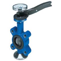 -gesa Absp.klappe Ggg Scheibe 1.4581 Mansch.epdm Pn16 Dn100 M.rasterh.anfl.