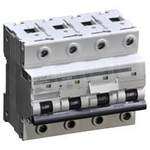 Er Jvm16-125 Leistungsschalter 4p 400v 100a C - Digital