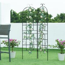 Rankgitterset 2-teilig 180x50 cm – Stahl – Schwarz – Gartendekoration – Kletterhilfe für Pflanzen