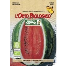 Sementi Anguria Crimson Sweet