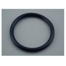 Guarnizione Oring Per Calotta Faro Piscina Astralpool