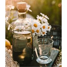 Vaso De Versalles 240 Ml