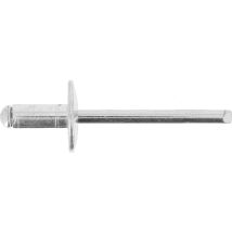 Rivet In Alluminio, Testa Larga In Scatola, 4,8 X 10 Mm, Lotto Da 61