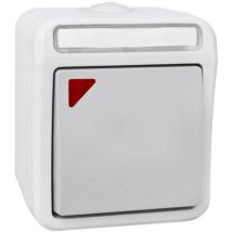 Globe Warehouse Ap/fr Taster, Beleuchtet, Grau/hellgrau, Ip54