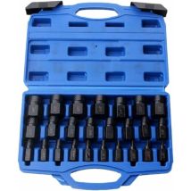 Lot De 25 Extracteurs De Vis Cassés – Alliage D'Acier Haute Dureté – Dents Multi-plans Pour Prise Optimale – Boîte De Rangement Incluse