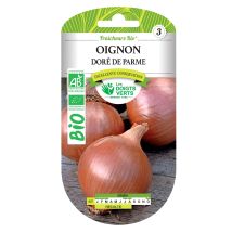 Bio Zwiebel-Samen aus Parma – goldene Zwiebel – biologischer Anbau – Februar bis April, August/September – Januar bis August