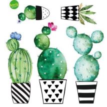 Crearreda - Sticker Watercolor Cactus Adesivo Murale Frasi Famose Natura Geometrie Fantasie 31x31 Cm