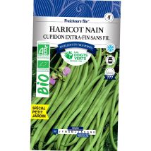 Fagiolo nano cupido BIO 30g – Semi per la semina – Les Doigts Verts