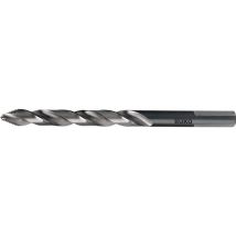 Trapano Elicoidale Ultimatecut Din 338 Tipo N D. Nominale 3 Mm Hss Naked/bruni Tail C (di 10)