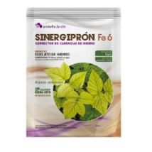 Sinergiprón Fe 6, 100 Gr - Probelte