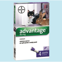 Advantage Spot On 80 Gatti E Conigli 4 Fiale Da 8 Ml