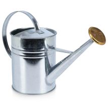 Annaffiatoio In Metallo Da 1,9 L