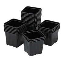 Godet Carré 8x8 Cm (carton De 1470 Pièces) - Couleur Vert