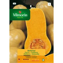Kщrbiskerne Butternut S-1 780, Щber 7 G - Vilmorin