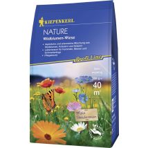 Wildblumen-wiese 250 Gr. Profi-line Nature - Kiepenkerl