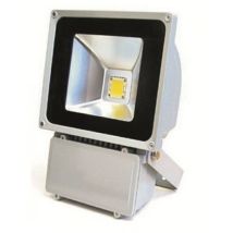 ACD 100W LED Projektor 6000K IP65 wasserfest 120° Lichtstrahl energieeffizient einfache Installation