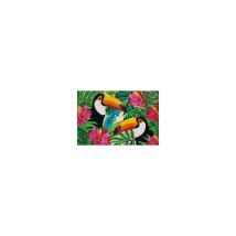 Tappeto rettangolare Tucani – 40x60 cm – Cocco – Multicolore – Ideale per interni ed esterni