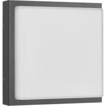 Applique Murale Avec Détecteur De Mouvement 1 X E27 13 W Graphite En Acier Inoxydable Et Verre Opale 045sen - Lcd