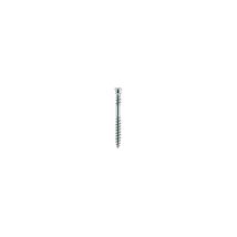 Eurotec - Vite Per Terrazza Testa Cilindrico Tx15 Acciaio Inossidabile Temprato Con Omologazione, 905535 5,5 X 50 (a 200)