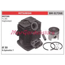 Segments De Cylindre De Piston Mitsubishi Moteur De Taille-haie Tl 201 017268