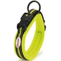 G - Collier 2,5 Cm X 55-60: