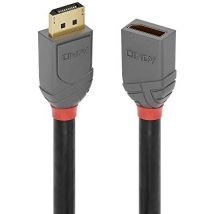 Lindy 1M DP 1.4EXTENSION – Hochwertige Erweiterungslösung für Heimwerkerprojekte – Kabel für Videoüberwachung