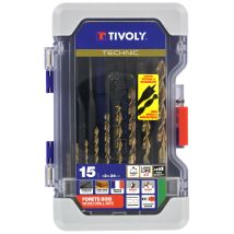 Ranger Scatola Da 15 Punte Per Legno Technic - Tivoly