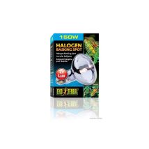 Spot Di Crogiolo Alogeno Exo Terra 150 W