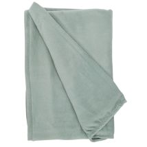 Plüschdecke 180 x 220 cm – 100% Polyester – Beige, Hellgrün – GIFT Decor