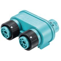 Wieland Electric 46.050.1253.6 Rundstecker Verteiler Gesamtpolzahl: 4 + Pe Serie (rundsteckverbinde