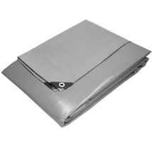 Telone Occhiellato 10x10 Mt - Tipo Extra Pesante 260gr/mq - Rinforzato Telo Argento