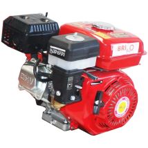 Bricoferr - Motor 170f A Gasolina Para Motoazada
