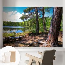 Tapete Vliestapete Mit Kleber Wandtapete Modern - Tapete Mit Motiv - Tapete Schlafzimmer Waldlandschaft 104x70 Cm