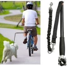 Laisse De Vélo Pour Chien Élastique 700mm – Acier Inoxydable – Installation Facile Sur Porte-vélo – Pour Chiens À Haute Énergie