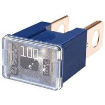 Fusibile Pal 100a Lunghezza 15mm Blu Hella Hella 8js740026231