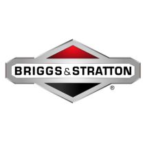 Rondella Trattorino Tagliaerba Rasaerba 1401102ma Briggs & Stratton