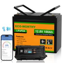 Eco-worthy 12v 100ah Batteria Al Litio Bluetooth +12v 20a /24v 10a Caricabatterie Per Lifepo4 12v/24v