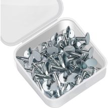 Lot De 100 Clous De Toiture Galvanisés Pour Toiture, Clous De Toiture En Feutre En Bois 12mm Pour Fixer Le Feutre De Toiture, Les Bardeaux D'Asphalte 