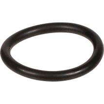 O-ring 2,62 X 20,24 Bertolini 803195002