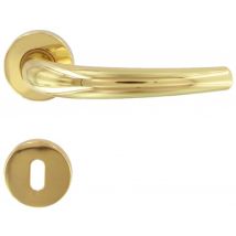 Torino Türgriff mit Olivenrosette – Leichtmetall – Glänzende Goldbeschichtung