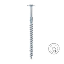 Eurotec - Tornillo Pérgola Con Arandela Torx Acabado Zincado Largo 220mm