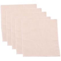 Bardusch - 5 Morceaux De Tissu De Fromage, Gaze De Coton Au Lait De Noix, Tissu Filtrant En Coton Naturel, Tissu Vapeur De Cuisine