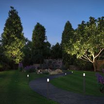Paulmann Flarea Außenleuchte Schwarz 200 Mm Led